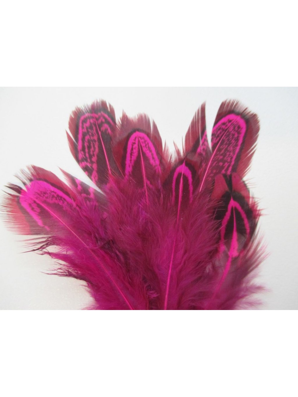 Bažantí peří tmavě růžové 4-12 cm