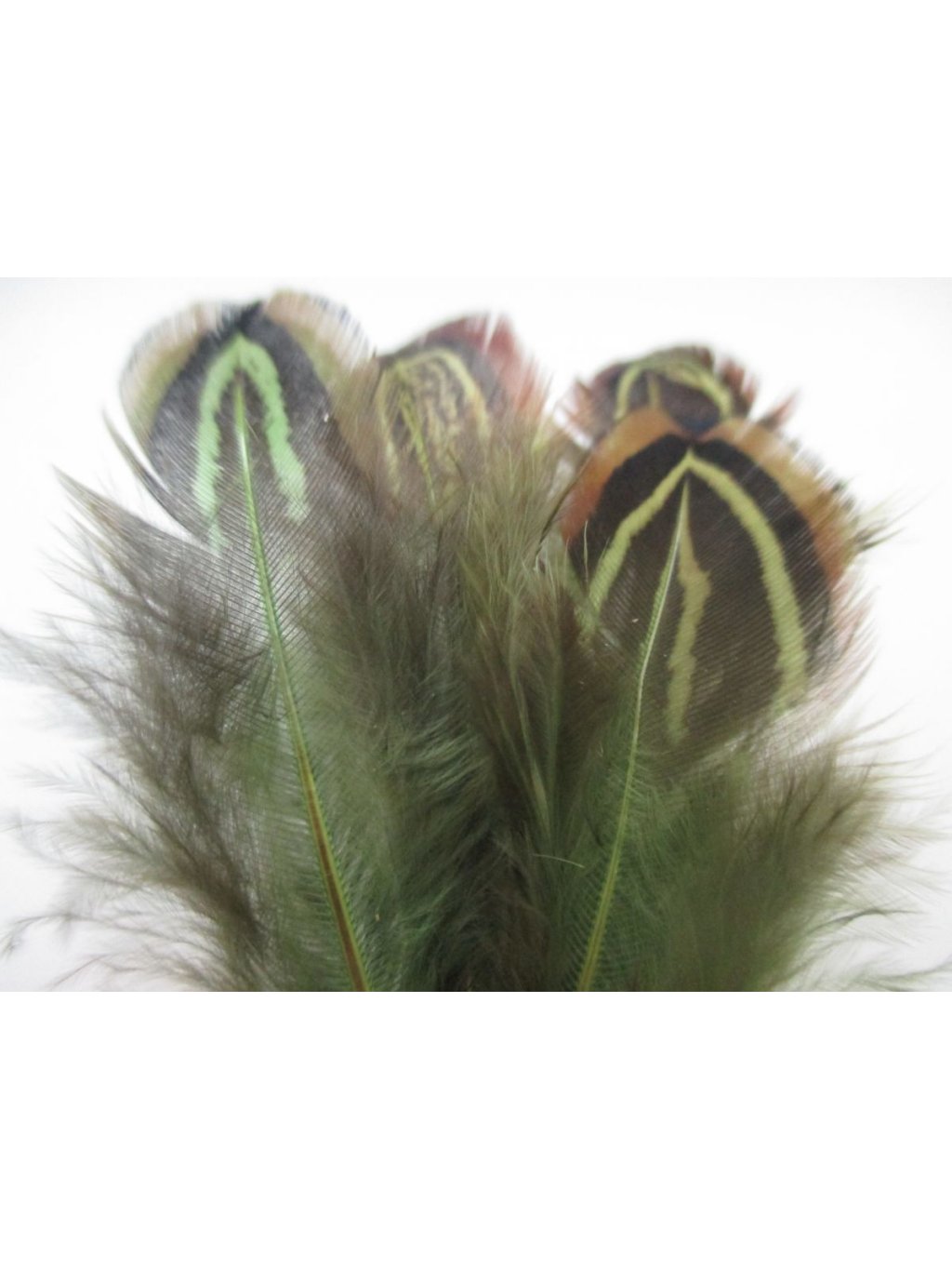 Bažantí peří zelené 4-12 cm