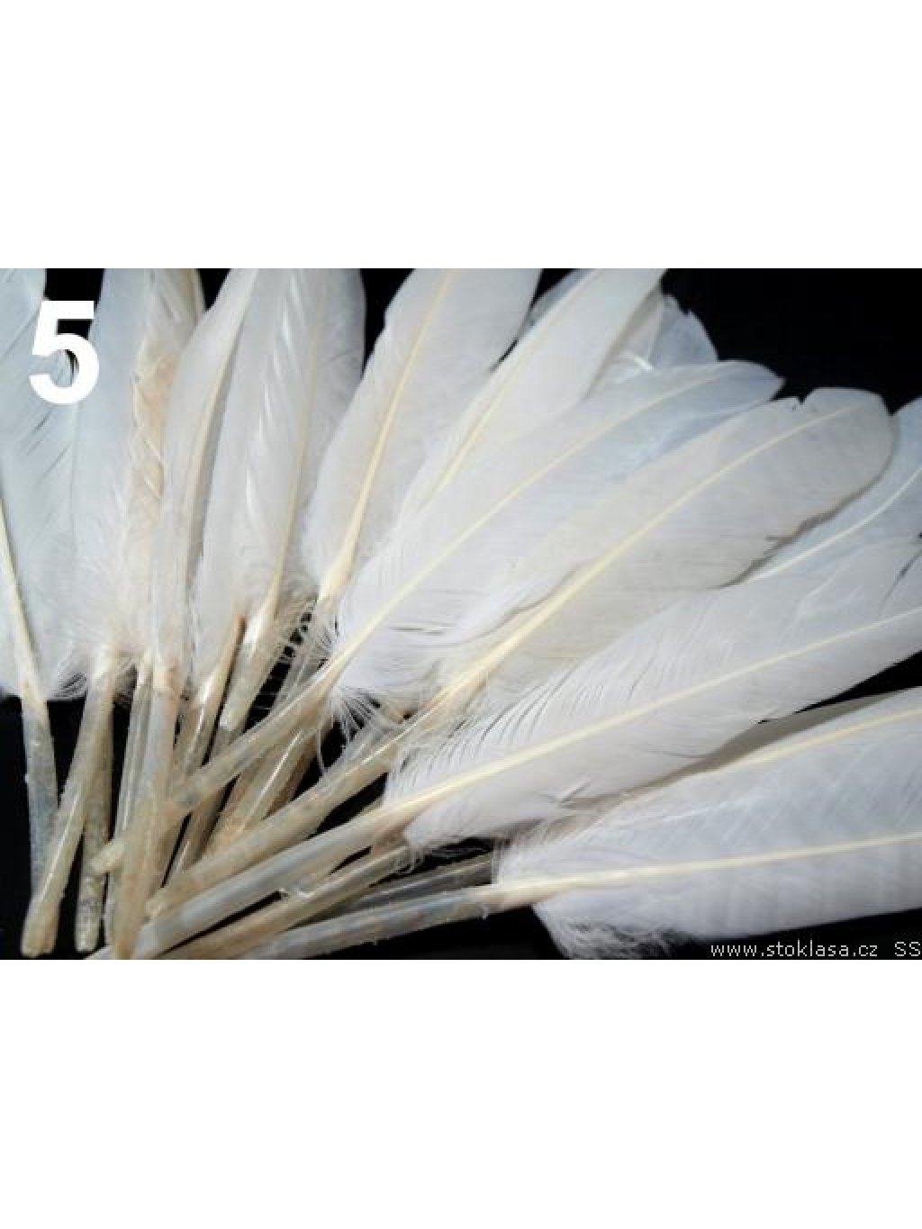 Kachní peří bílé 9-14 cm