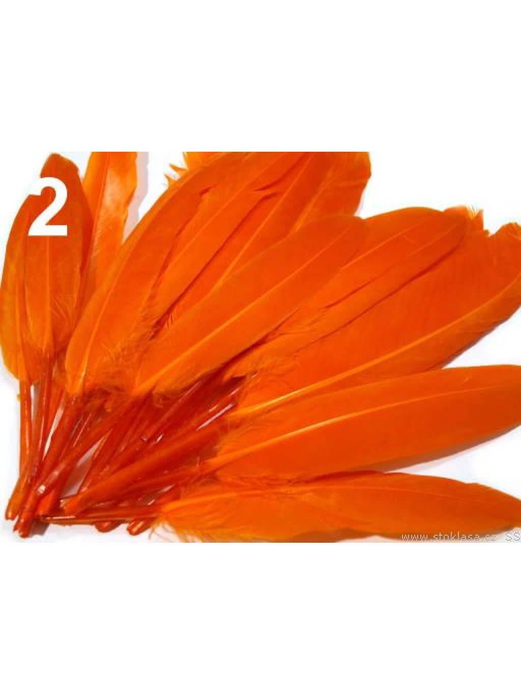 Kachní peří oranžové 9-14 cm