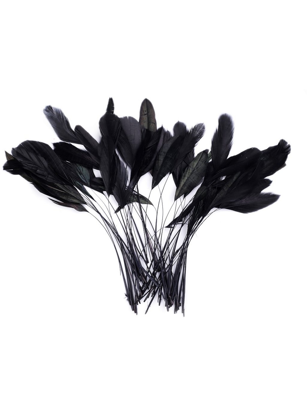 Kohoutí peří černé 13-18 cm