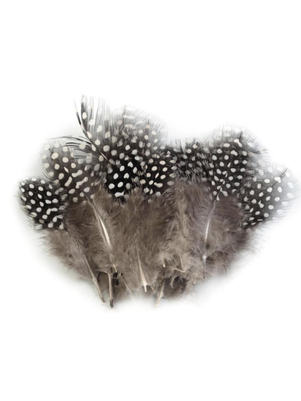 Ozdobné slepičí peří šedobéžové 5 - 13 cm
