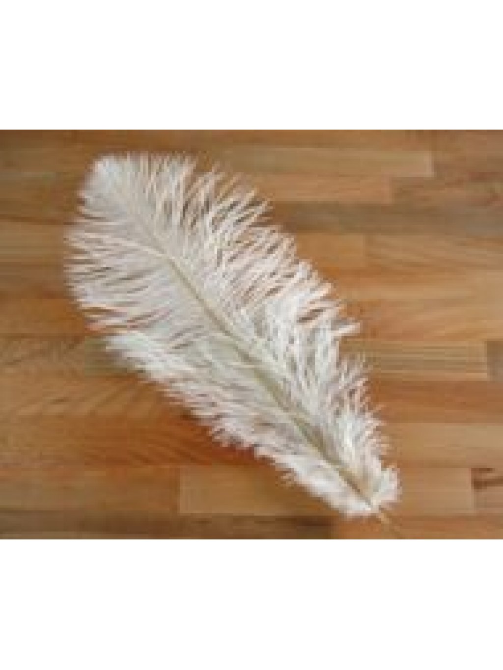Pštrosí peří bílé 40 - 45 cm