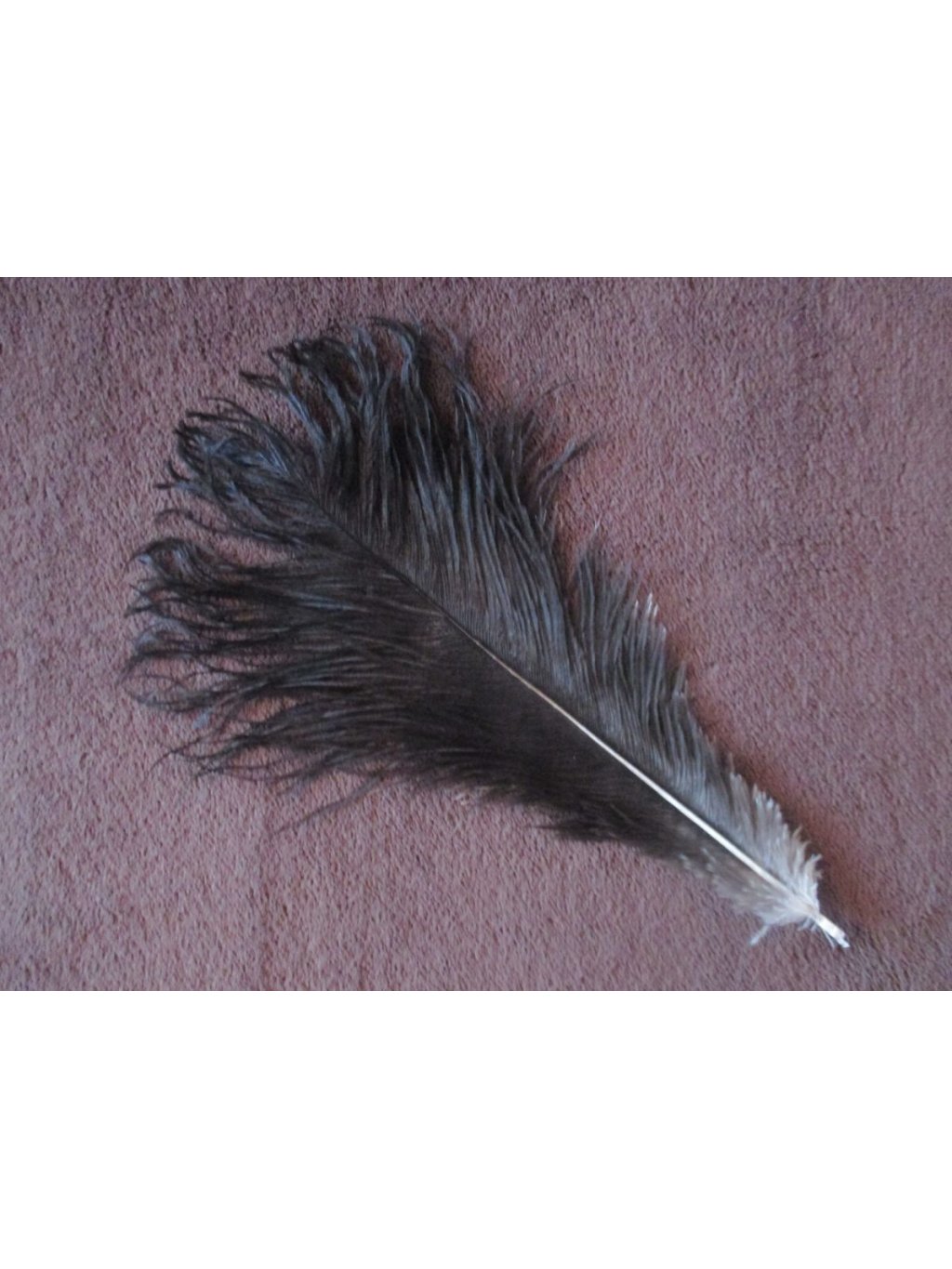 Pštrosí peří černé 30 - 35 cm