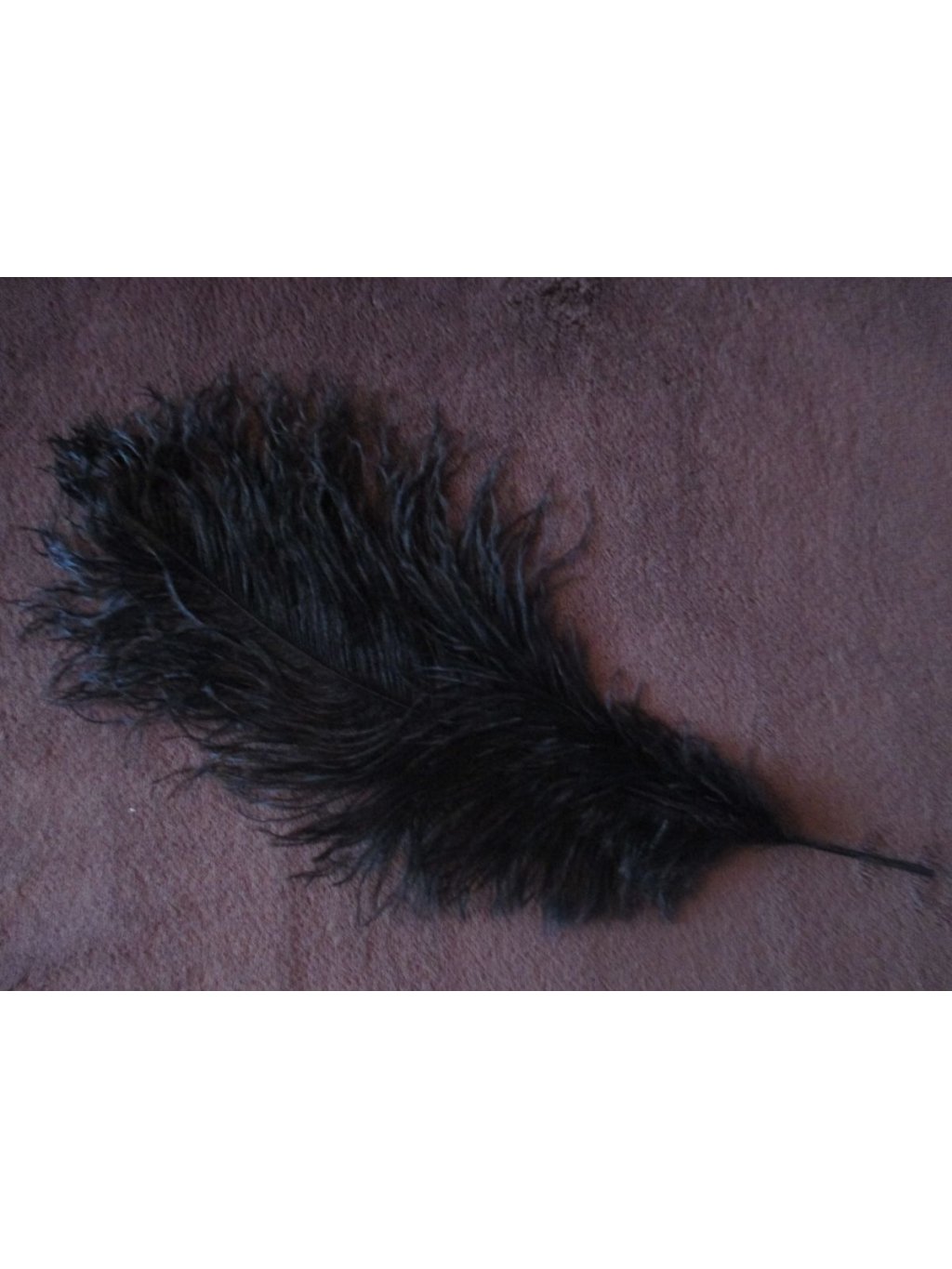 Pštrosí peří černé 50 - 55 cm
