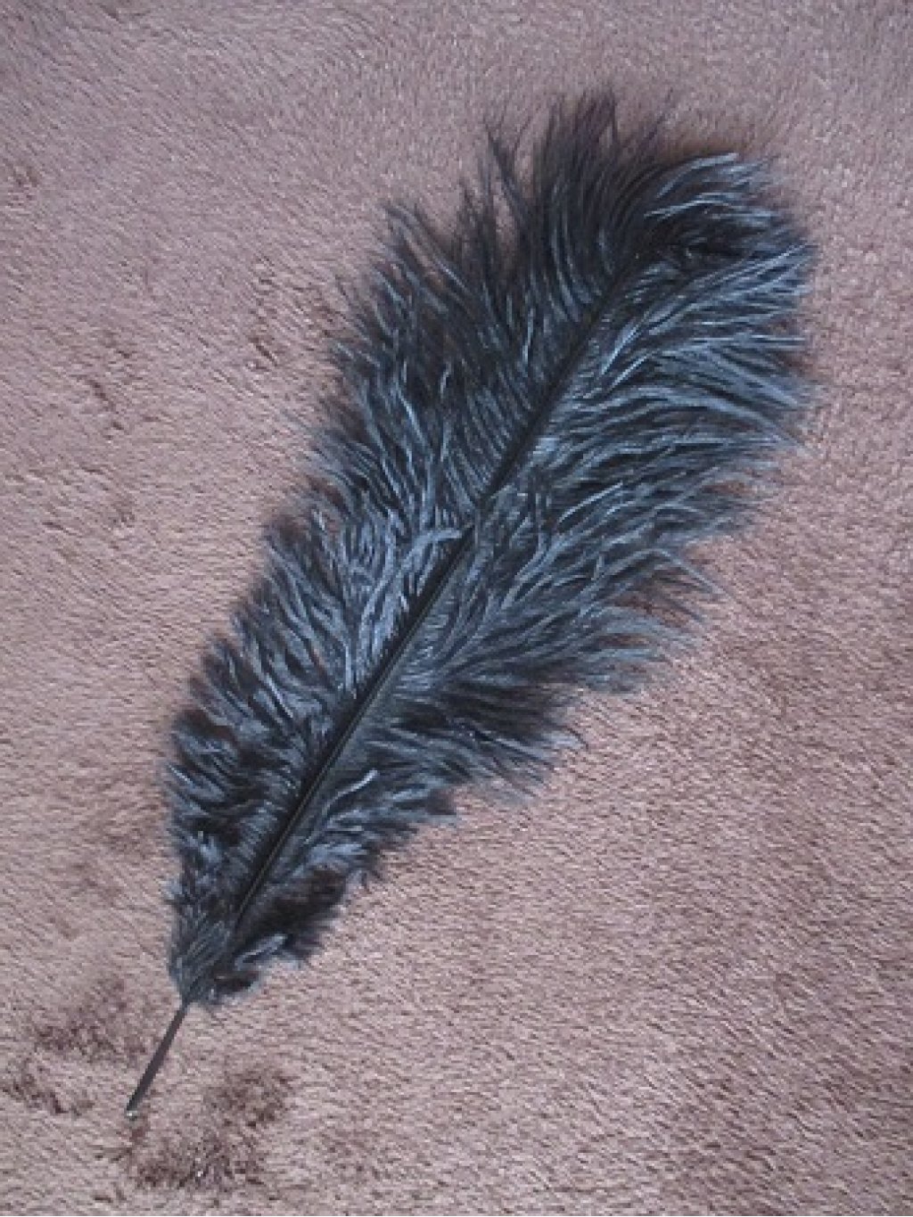 Pštrosí peří černé barvené 30 - 35 cm