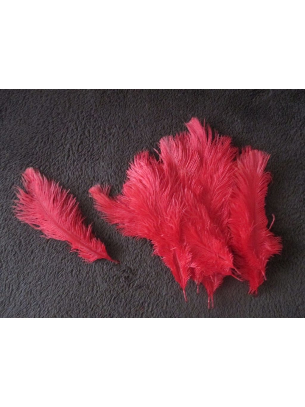 Pštrosí peří červené 12 - 20 cm