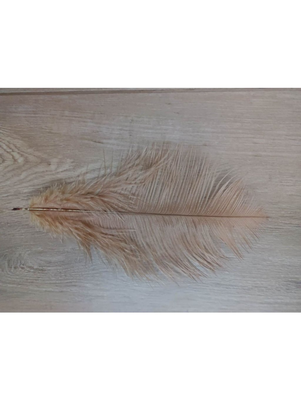 Pštrosí peří cibulové 25 - 30 cm