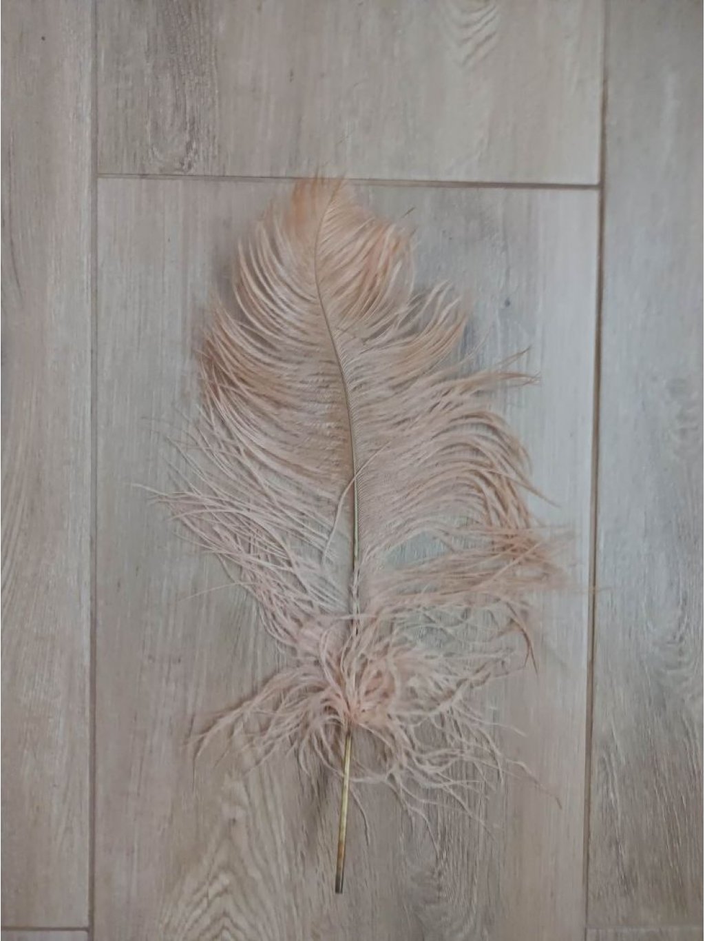 Pštrosí peří cibulové 35 - 40 cm