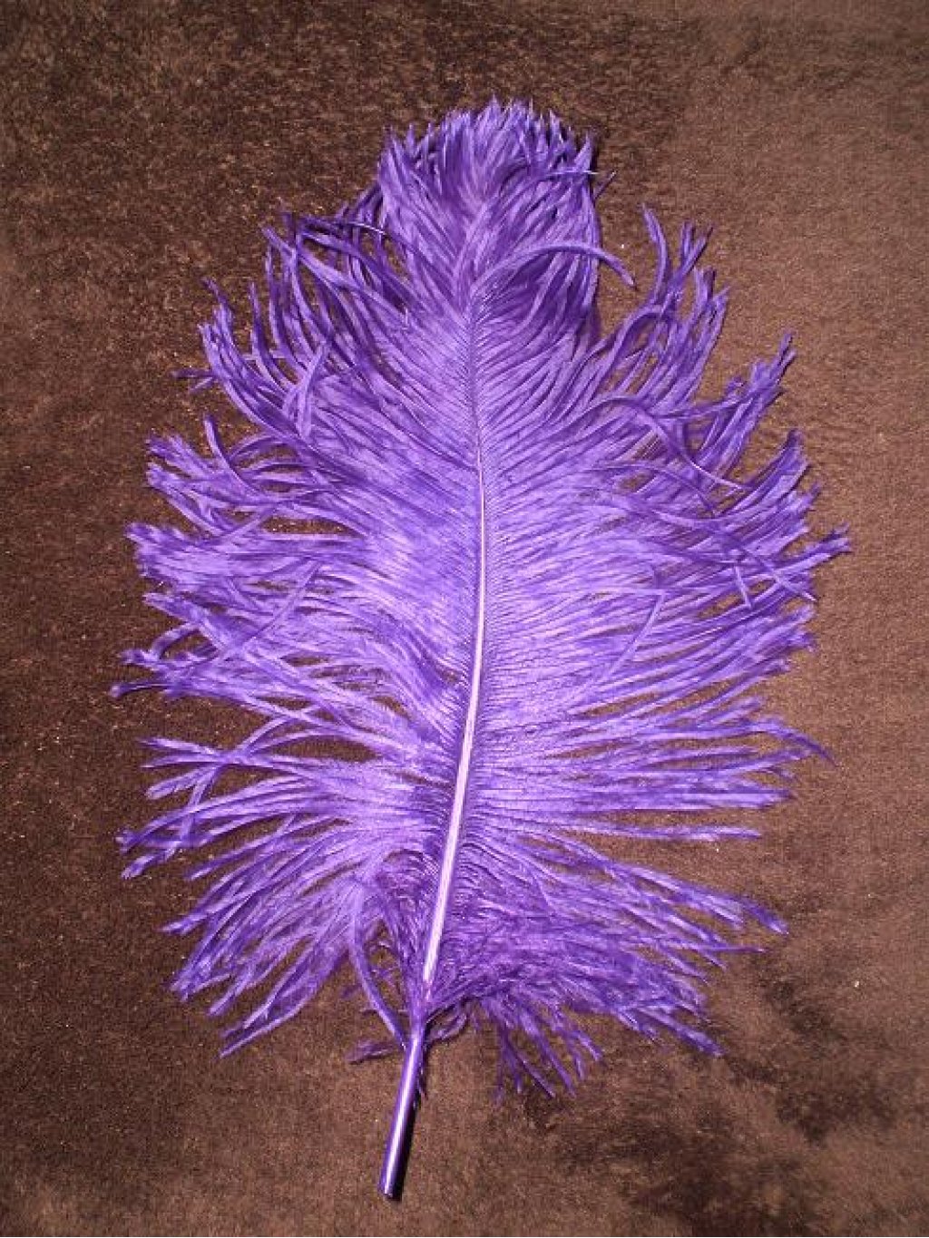 Pštrosí peří fialové 25 - 30 cm
