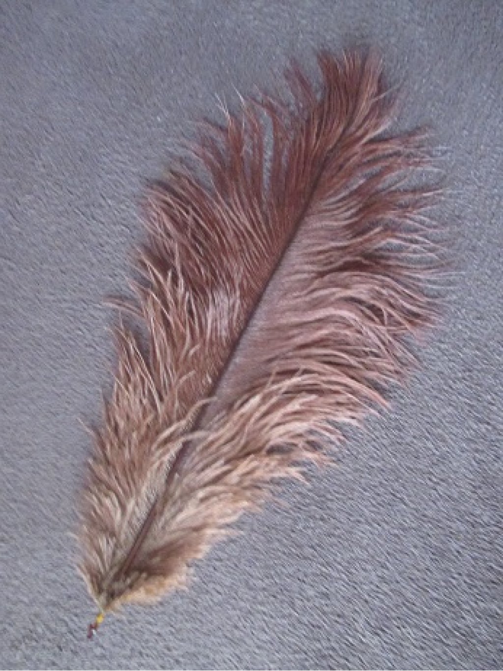 Pštrosí peří hnědé 30 - 35 cm