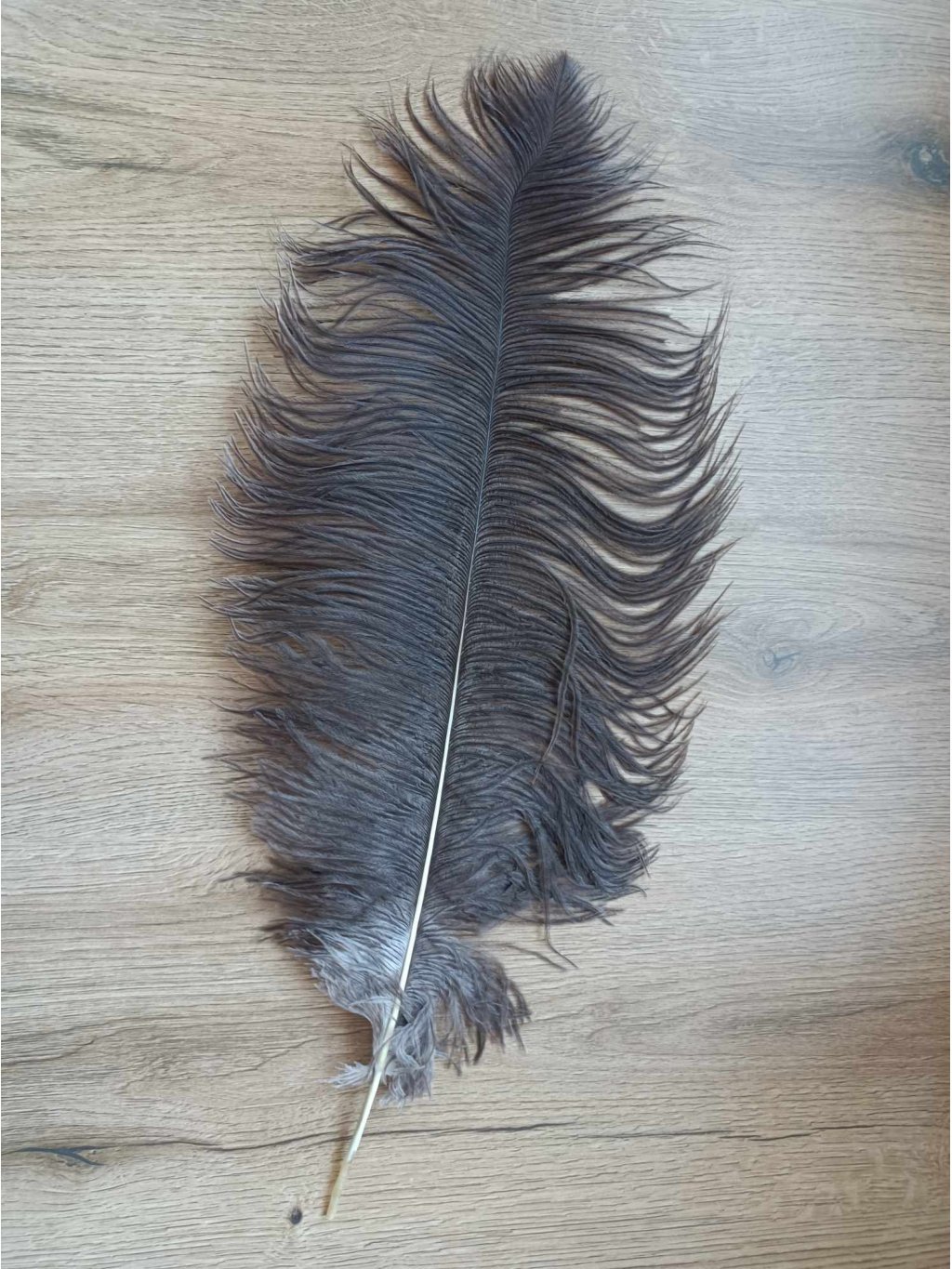 Pštrosí peří přírodní šedé 60 - 70 cm