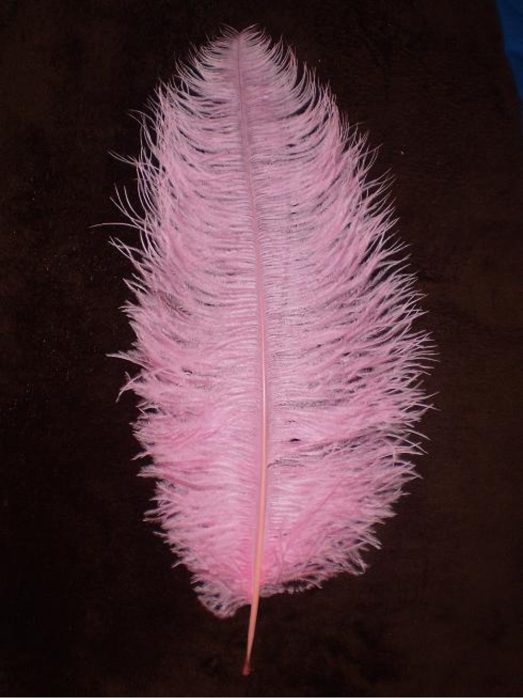 Pštrosí peří růžové 55 - 60 cm