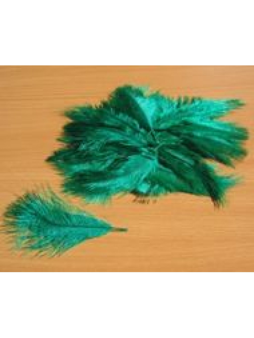 Pštrosí peří smaragdové 5 - 12 cm
