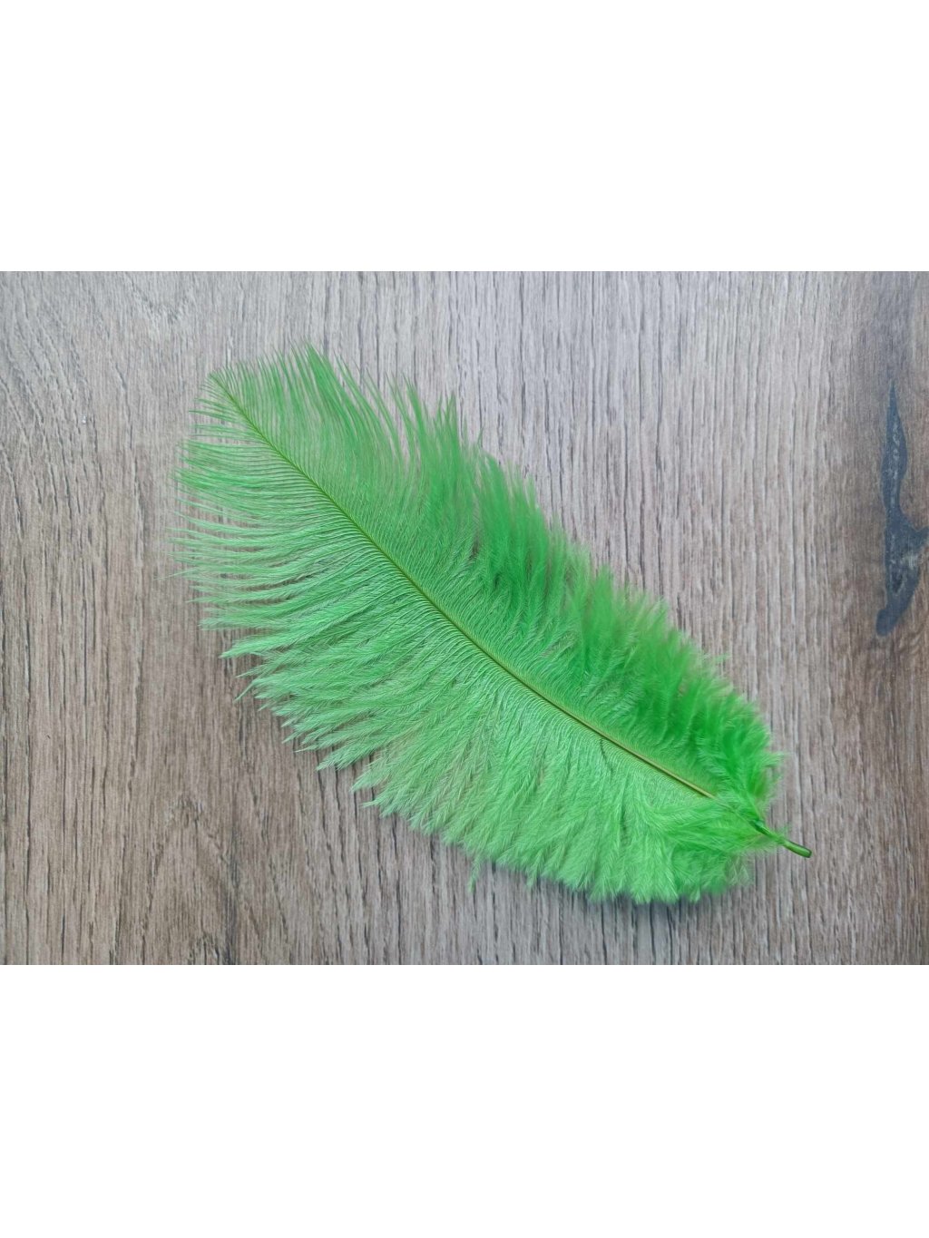Pštrosí peří světle zelené 12 - 20 cm