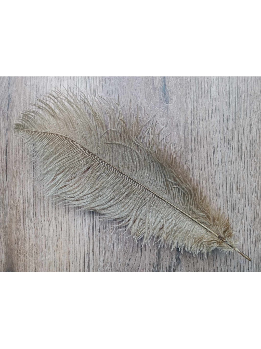 Pštrosí peří zlaté 30 - 35 cm