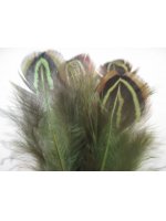 Bažantí peří zelené 4-12 cm