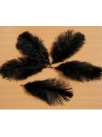 Pštrosí peří černé barvené 20 - 25 cm