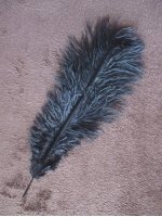 Pštrosí peří černé barvené 30 - 35 cm