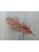 Pštrosí peří cibulové 20 - 25 cm