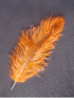 Pštrosí peří oranžové 25 - 30 cm