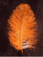 Pštrosí peří oranžové 55 - 60 cm