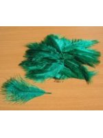 Pštrosí peří smaragdové 5 - 12 cm