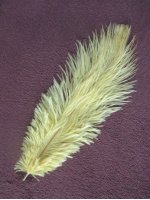 Pštrosí peří žluté 30 - 35 cm