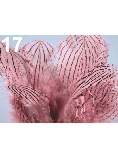 Bažantí peří světle růžové 4-12 cm