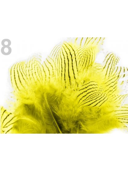 Bažantí peří žluté 4-12 cm