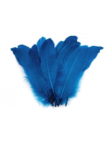 Husí peří tmavě modré 16-21 cm