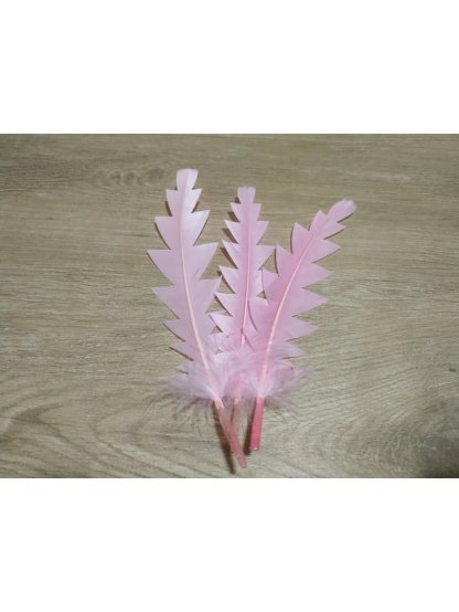 Husí peří zubaté růžové 16 - 21 cm