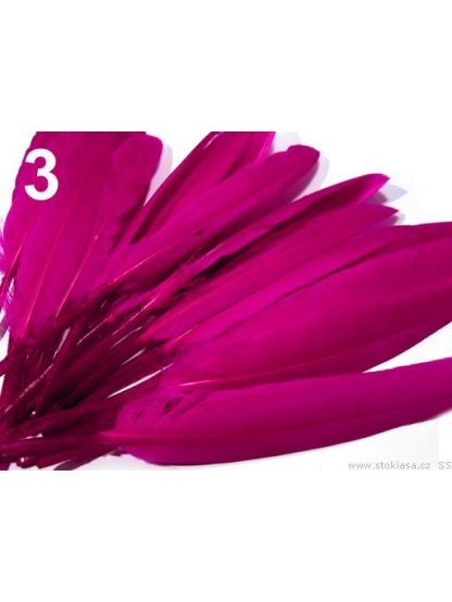 Kachní peří sytě růžové 9-14 cm