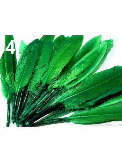 Kachní peří zelené 9-14 cm