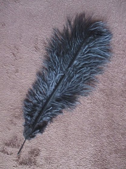 Pštrosí peří barvené černé 25 - 30 cm