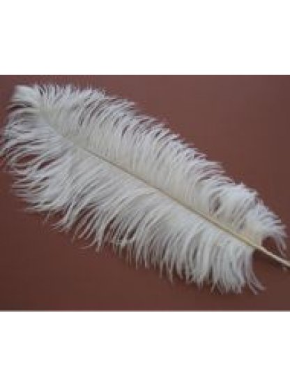 Pštrosí peří bílé 45 - 50 cm