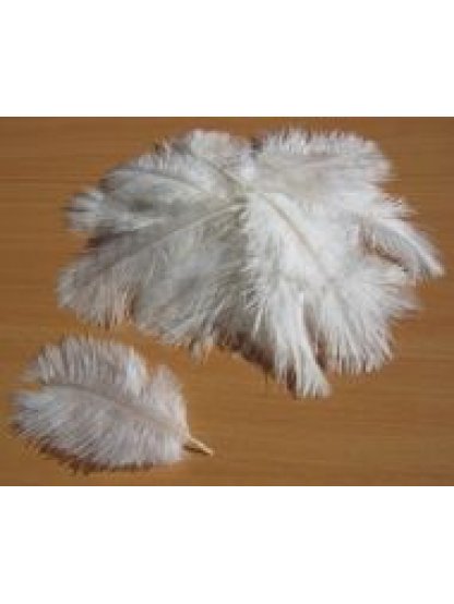 Pštrosí peří bílé 5 - 12 cm ( 20 ks )