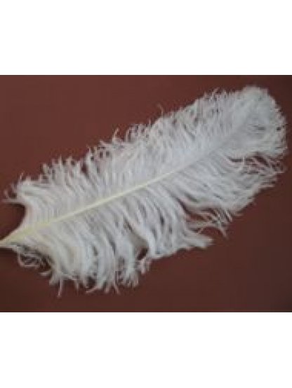 Pštrosí peří bílé 60 - 70 cm