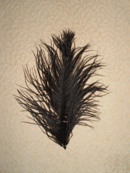 Pštrosí peří černé 20 - 25 cm