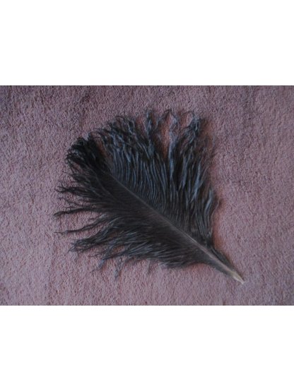 Pštrosí peří černé 25 - 30 cm