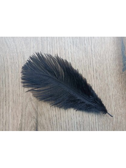 Pštrosí peří černé barvené 12 - 20 cm