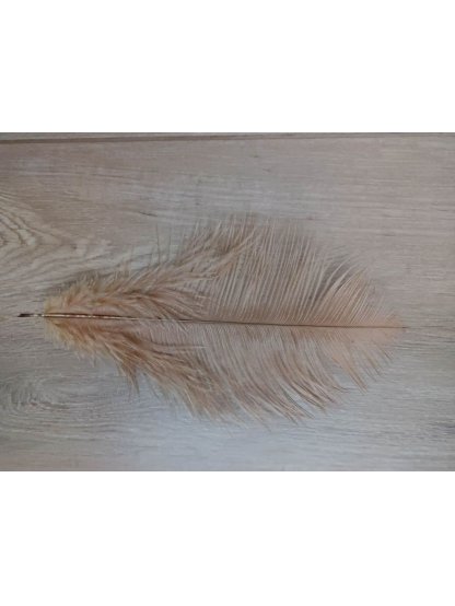 Pštrosí peří cibulové 25 - 30 cm
