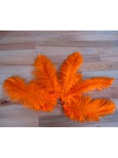 Pštrosí peří oranžové 12 - 20 cm