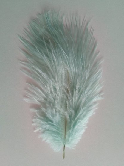 Pštrosí peří pistáciové 12 - 20 cm