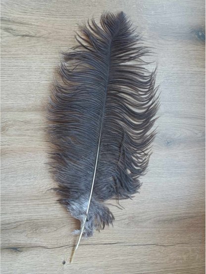 Pštrosí peří přírodní šedé 60 - 70 cm