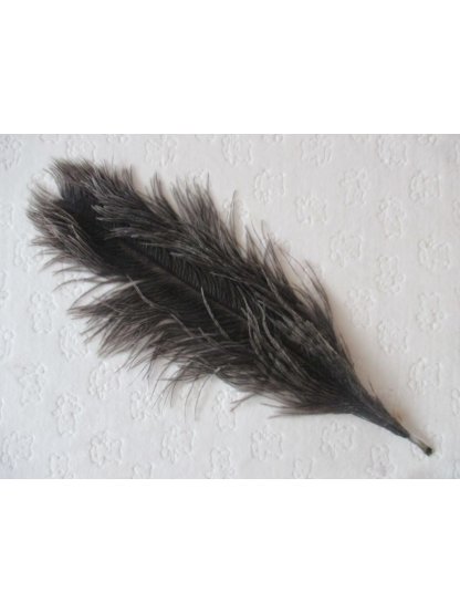 Pštrosí peří šedé 30 - 35 cm