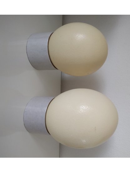 Pštrosí vejce menší - vyfouklé