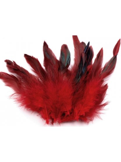 Slepičí peří tmavě červené 6 -15 cm