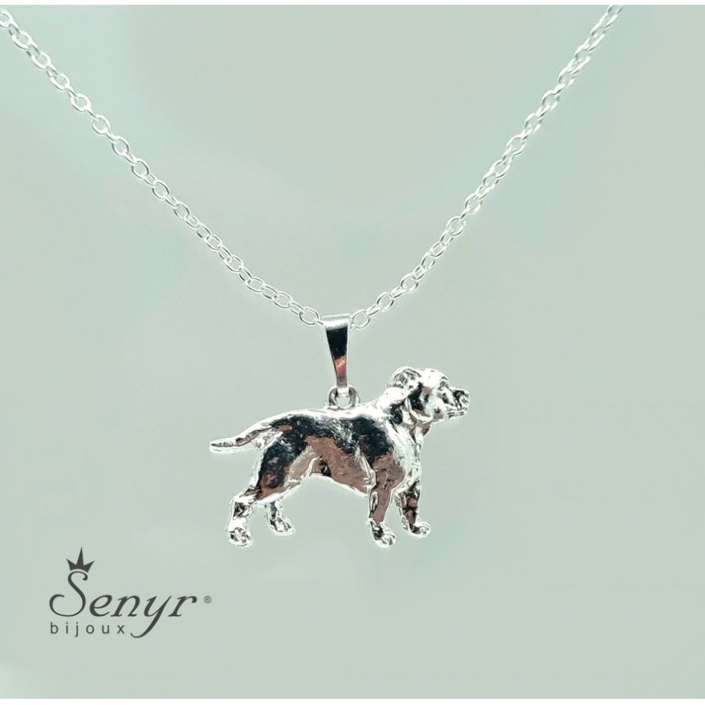 Necklace American Staffordshire Terrier