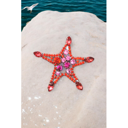 STARFISH crystal brooch